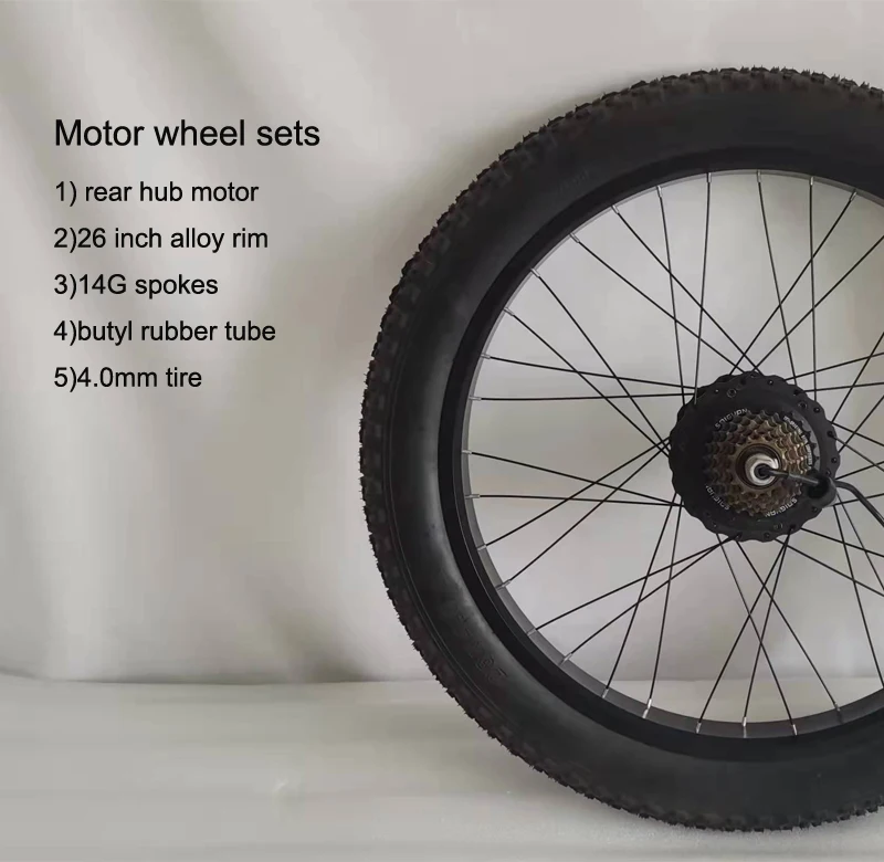 rear wheel electric bike kit with battery