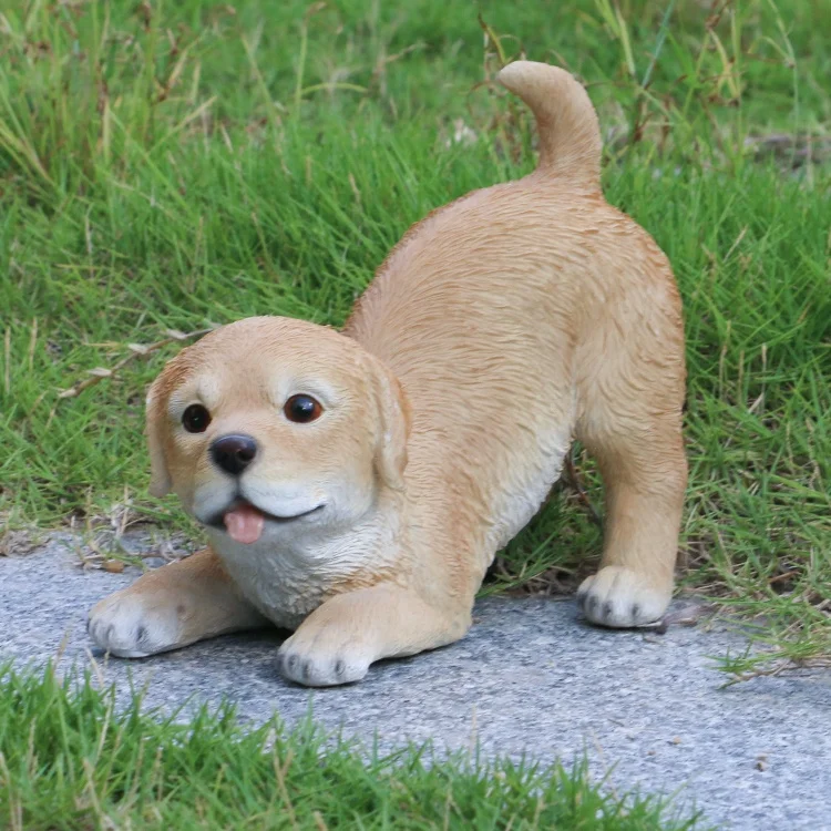 Birçok Çinli satılık yavru golden retriever Toptancıdan Toptan fiyatına