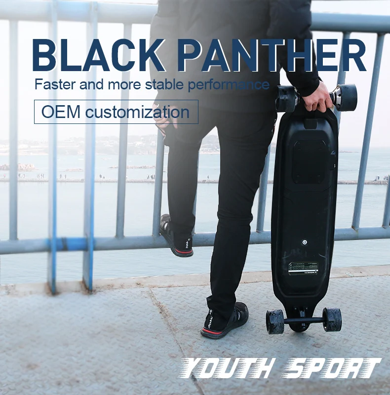 Fastest 40kmh Longboard Electric Skateboard Deck With Remote Control