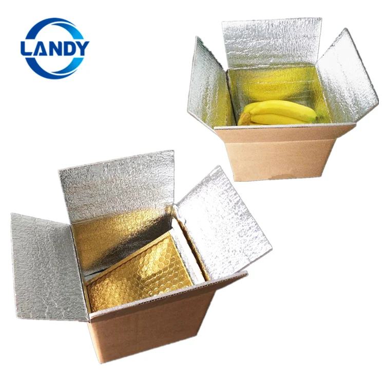 Insulated Thermal Shipping Boxes Food 72 Hours Protect,Cold Insulated Shipping Box Liner Buy