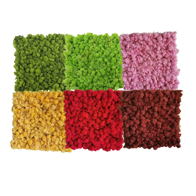 Preserved Immortal Moss Tiles Green Grass Wall For Home Garden