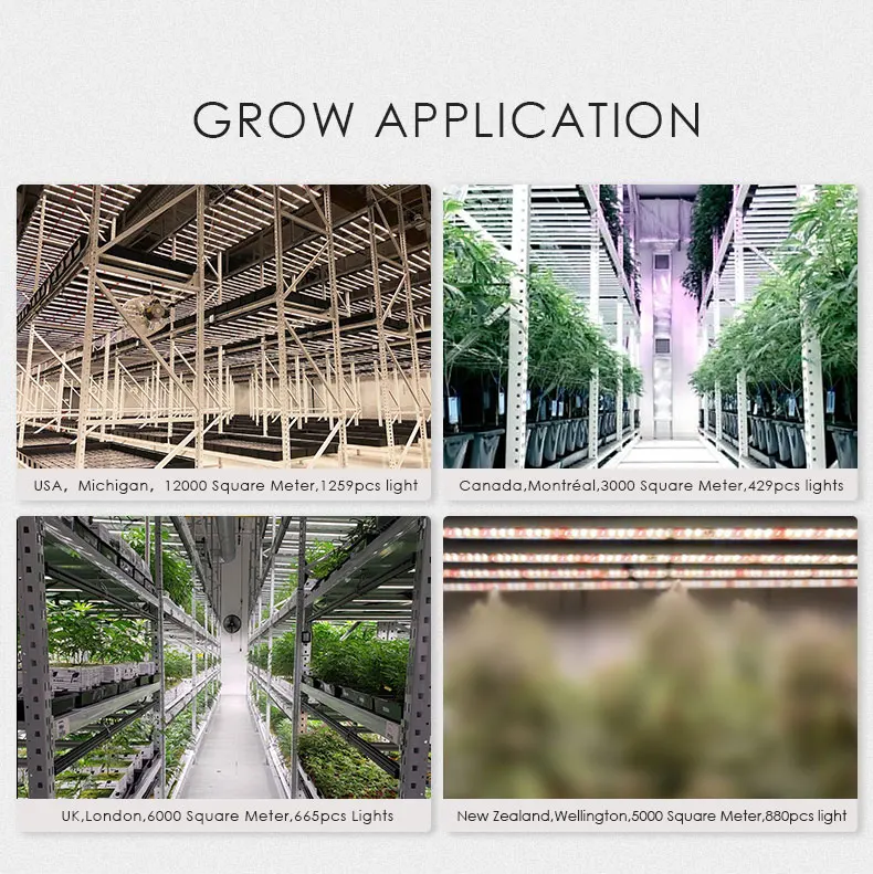 grow lights montreal