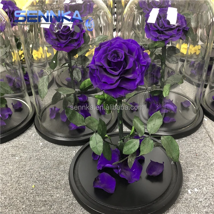 preserved flower in glass