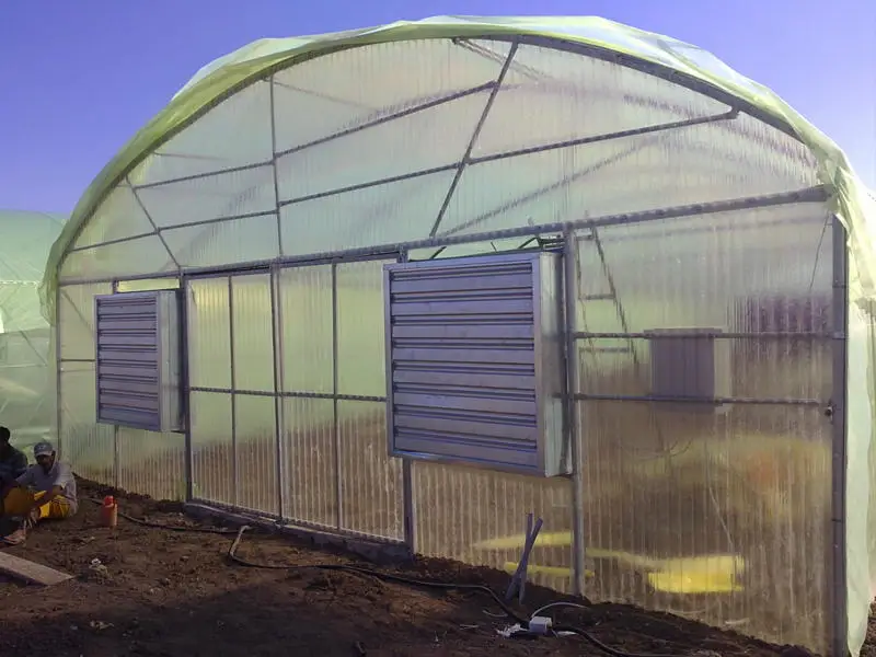 Singletunnel Plastic Tunnel With Galvanized Steel (/polycarbonate