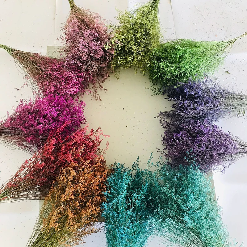 Wholesale Preserved Wall Moss Letters Box Lichen Stabilized Irish Moss