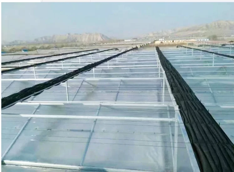 Passive solar panel for greenhouse Greenhouse equipment