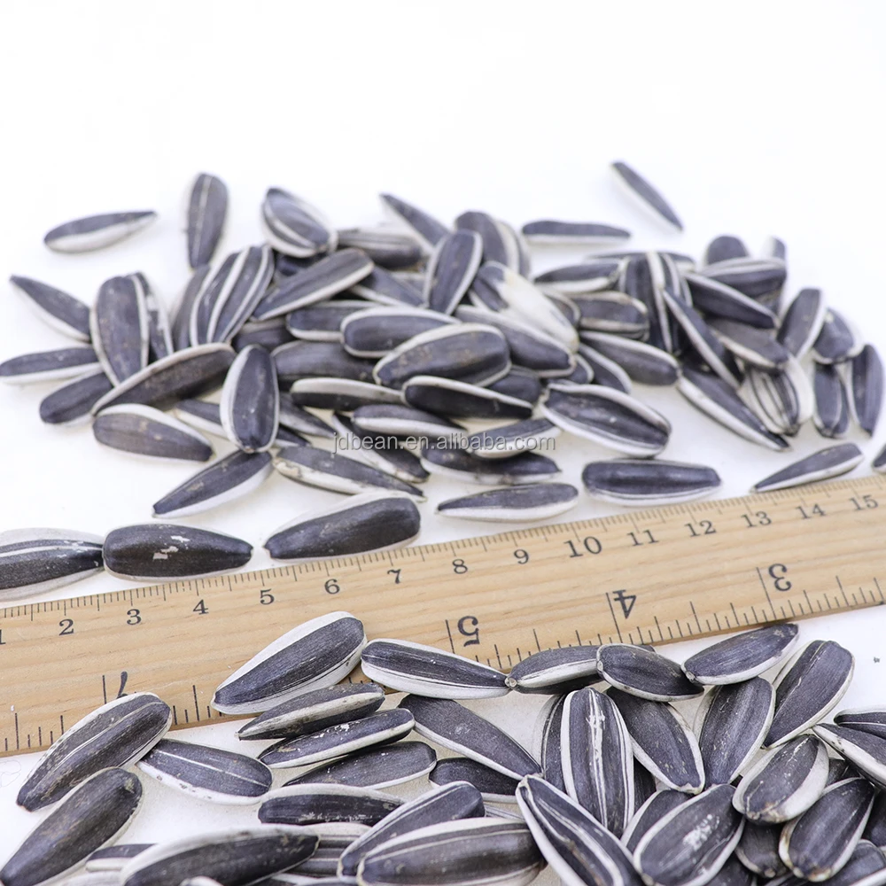 China Origin Factory Customize Inner Monglia Sunflower Seeds Raw 361 ...