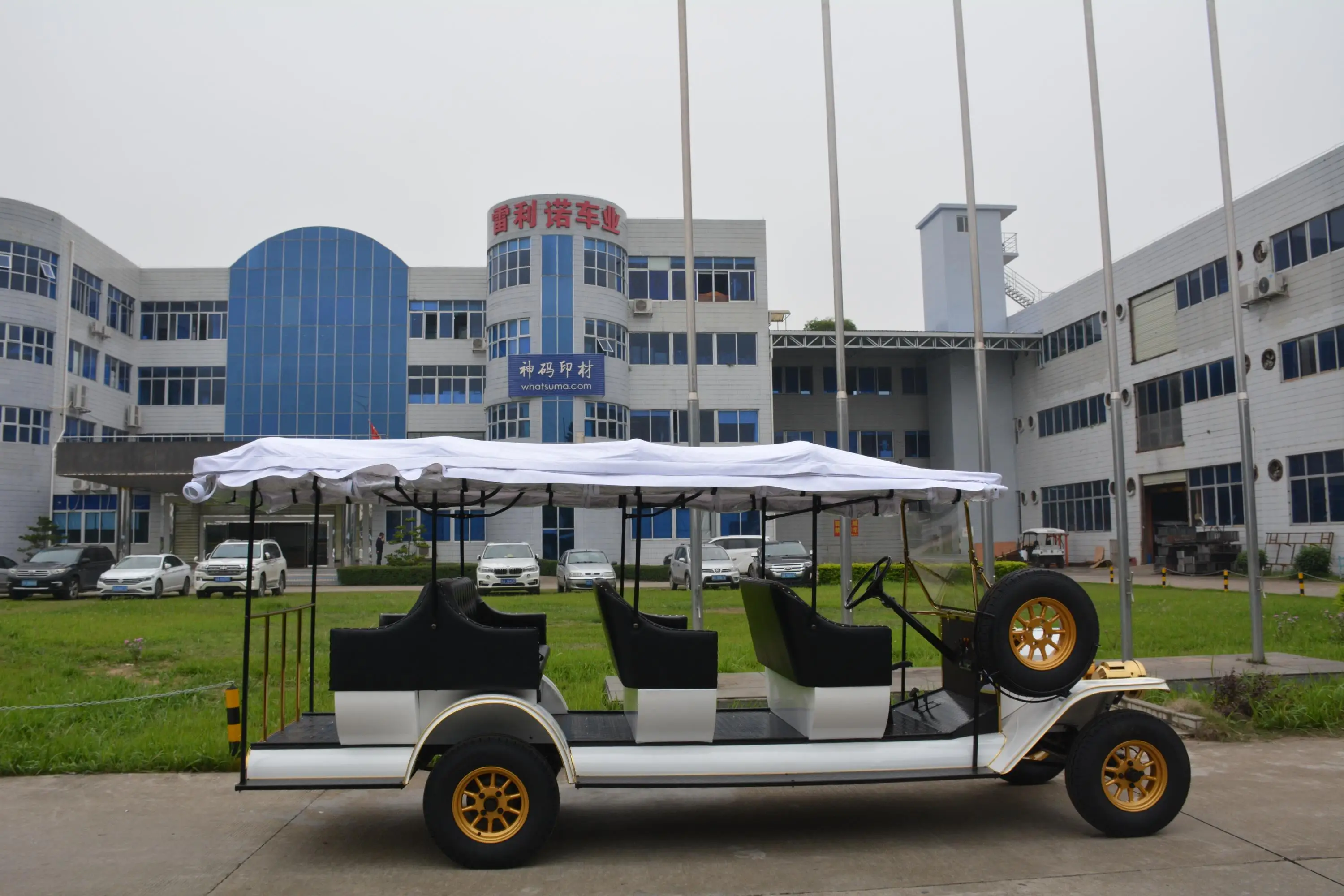 Rariro 9-12 seats electric metal body vintage buggy cart for Club, Golf Course, Hotel, School