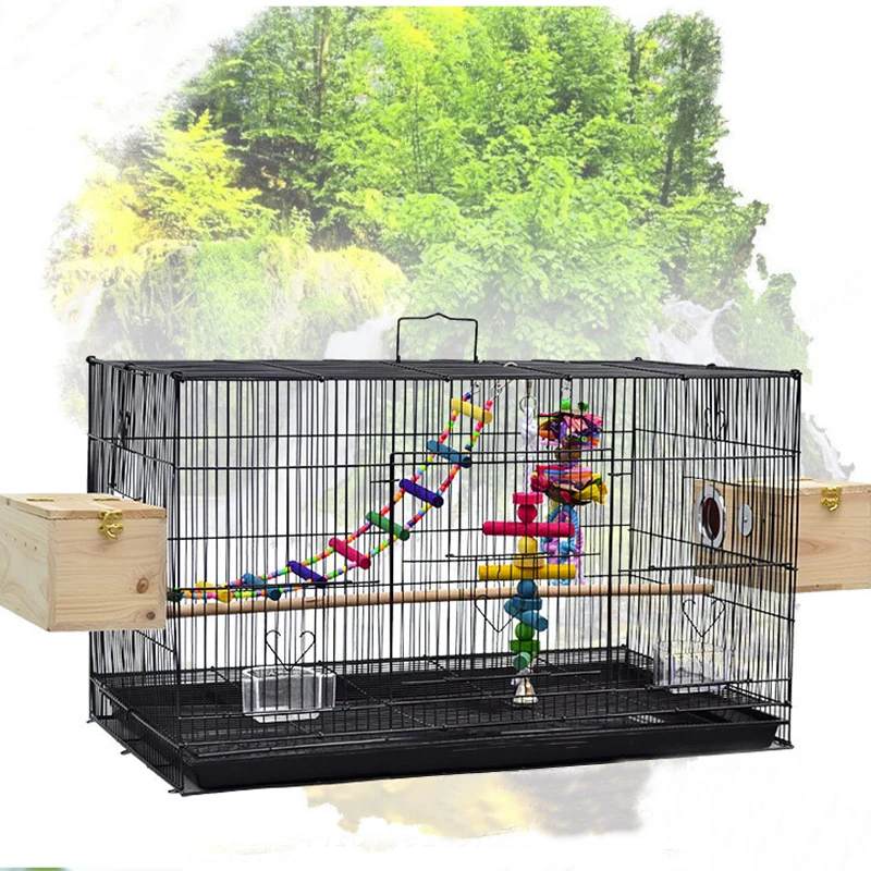 parrot cage buy online