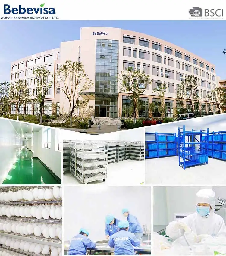 factory overview