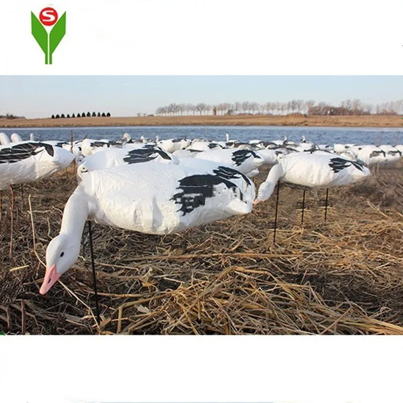 Plastic Inflatable Eva Snow White Goose Decoy For Outdoor Hunting Buy