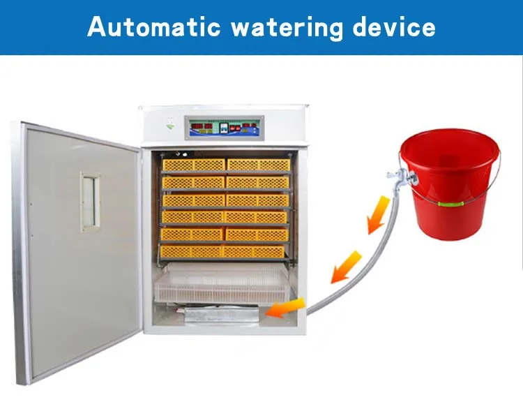 Quality Household Automatic Incubator And Hatcher Egg Incubator Buy