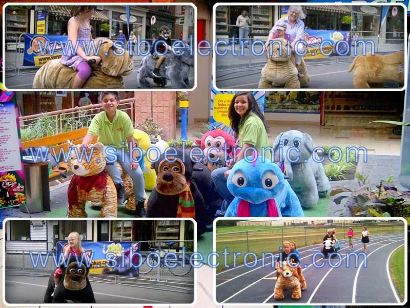 animal rides pictures from client