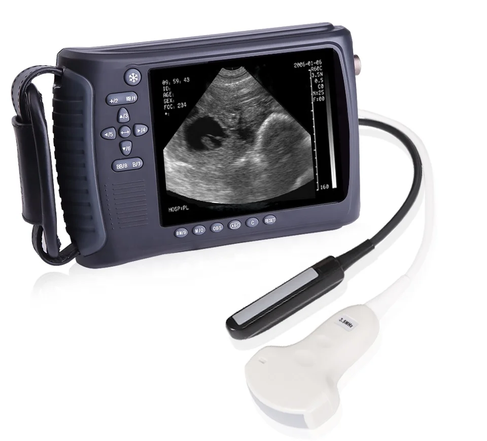 Horses Cats Cows Ultrasound Scanning Handheld Veterinary Ultrasound