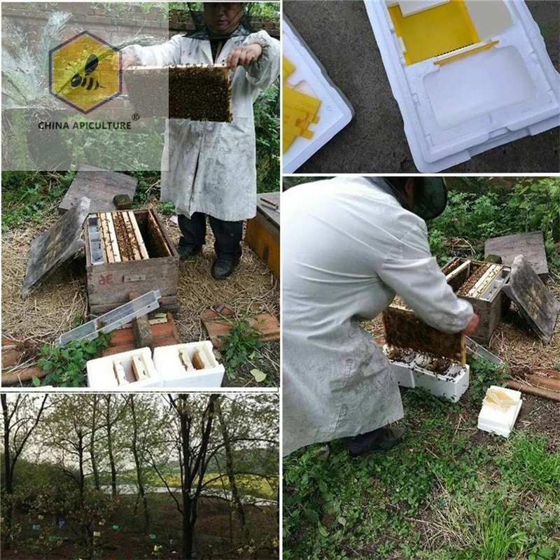 1PCS Beekeeping Queen Breeding Rearing Mini Polystyrene Mating Nucs Hive DIY 