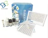 Human immunoglubin joining chain, Ig-j ELISA Kit