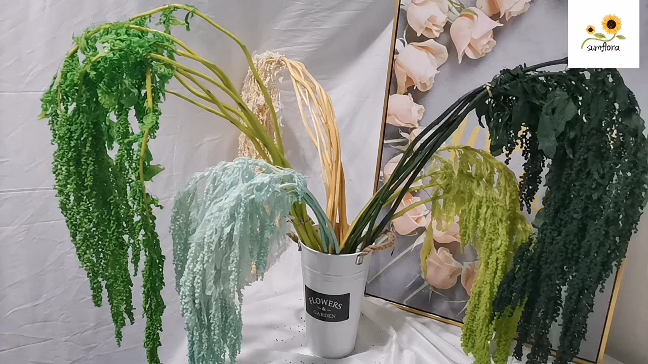 sumflora wholesale atural preserved flowers wholesale preserved