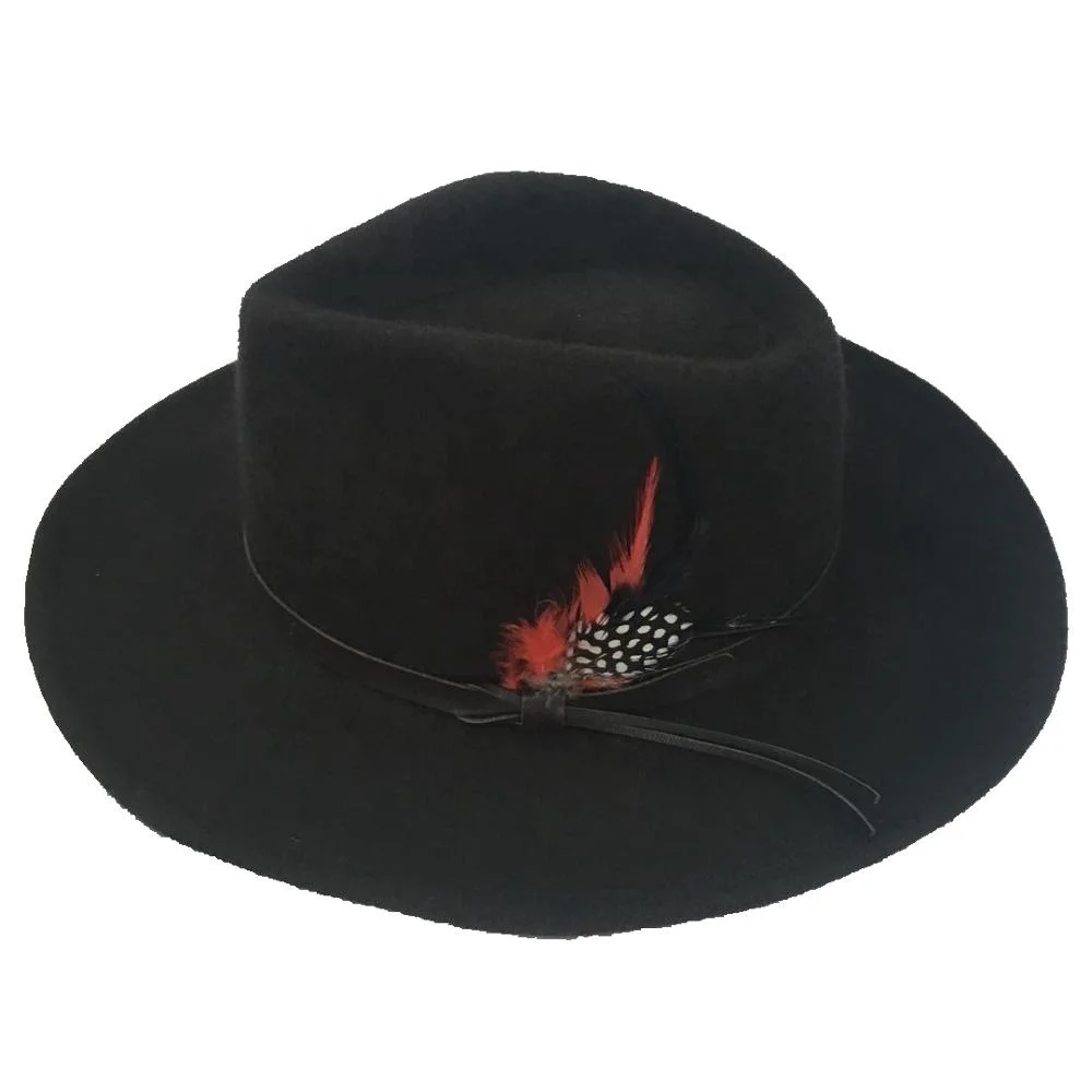 Brown Wool Felt Cowboy Hat With Pu Decoration Band Feather Accessory ...