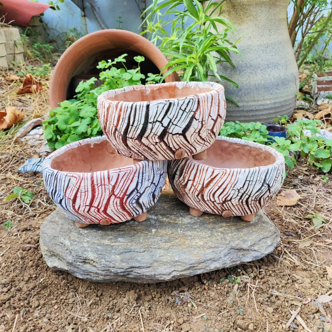 Wholesale Modern Home Garden Tabletop Decoration Succulent Pot Custom