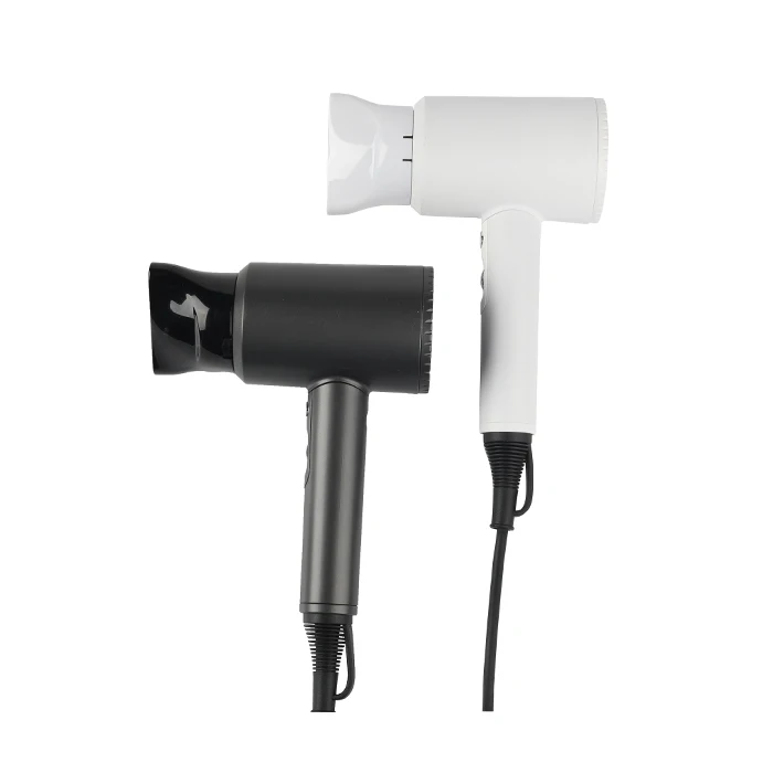 Fashion Hair Styler Noise Free Negative Ion Hair Dryer With 110v and 220v