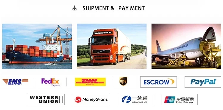 shipping.webp