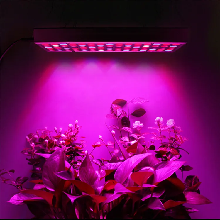 led grow light hydroponic