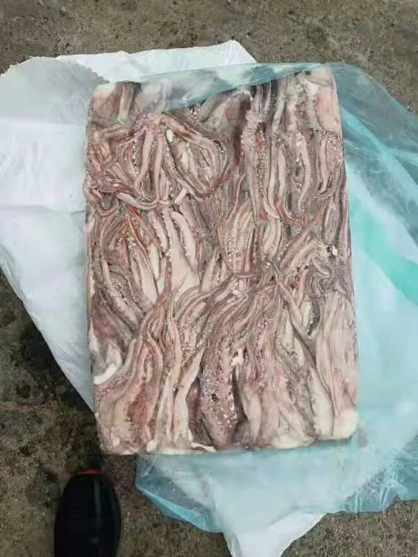 squid tentacles 6.jpg