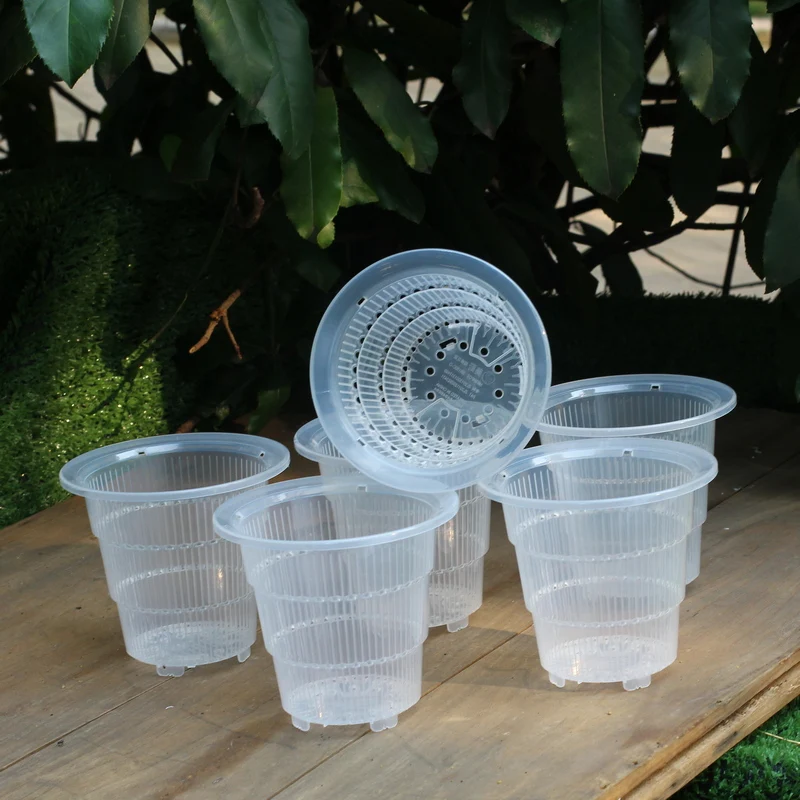 Orchid Pots With Holes Plastic Plastic Clear Slotted Orchid Pots Liners
