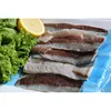 Pacific Mackerel cuts without head and tail