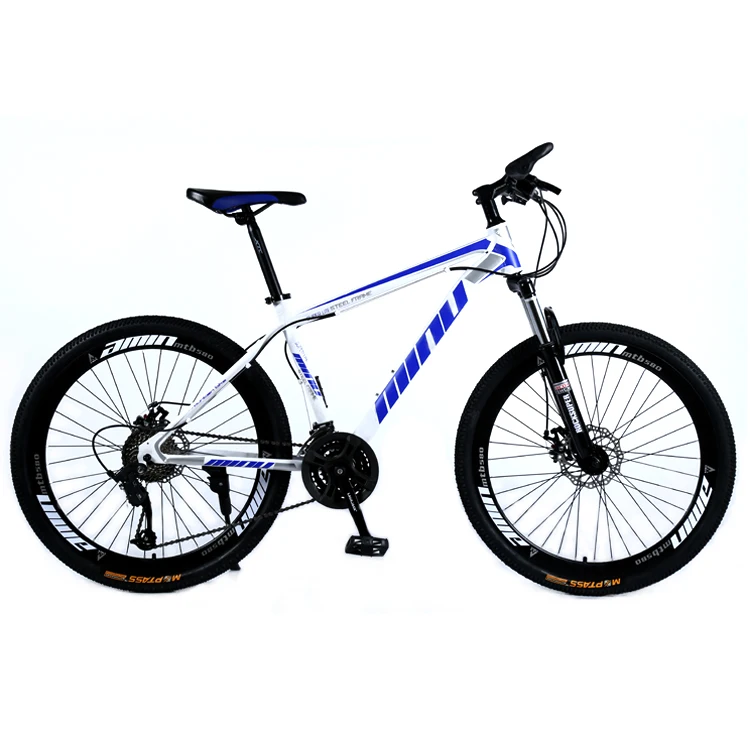 Mountain bike (5)