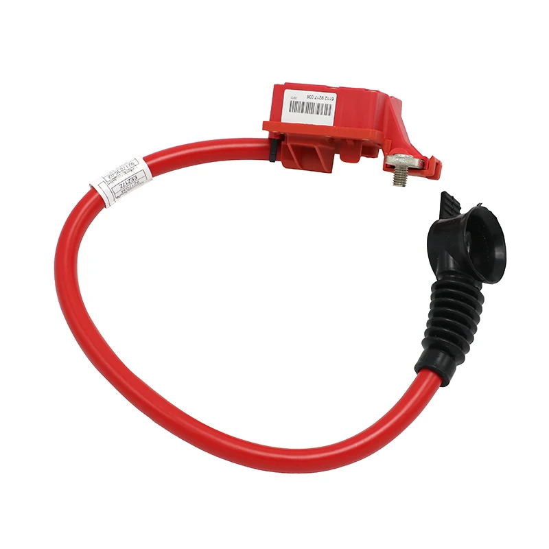 61129217036 Auto Spare Parts Positive Battery Cable For Bmw 6112 9217