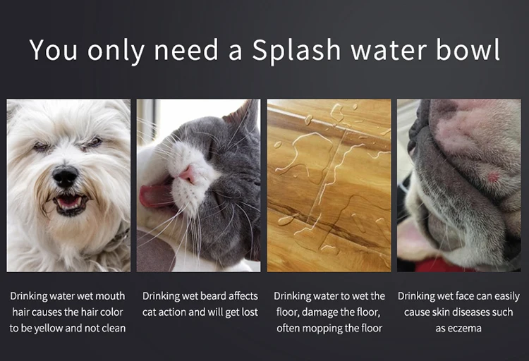 Antisplashing Pet Water Feeder Avoid Wet Dog Floating Slow Water