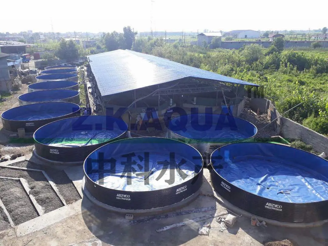 New Original Types Of Fish Farming Tilapia Aquaculture Tank System With Quality Assurance Buy