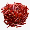 Wholesale 500g bag pack dried red chili for restaurant