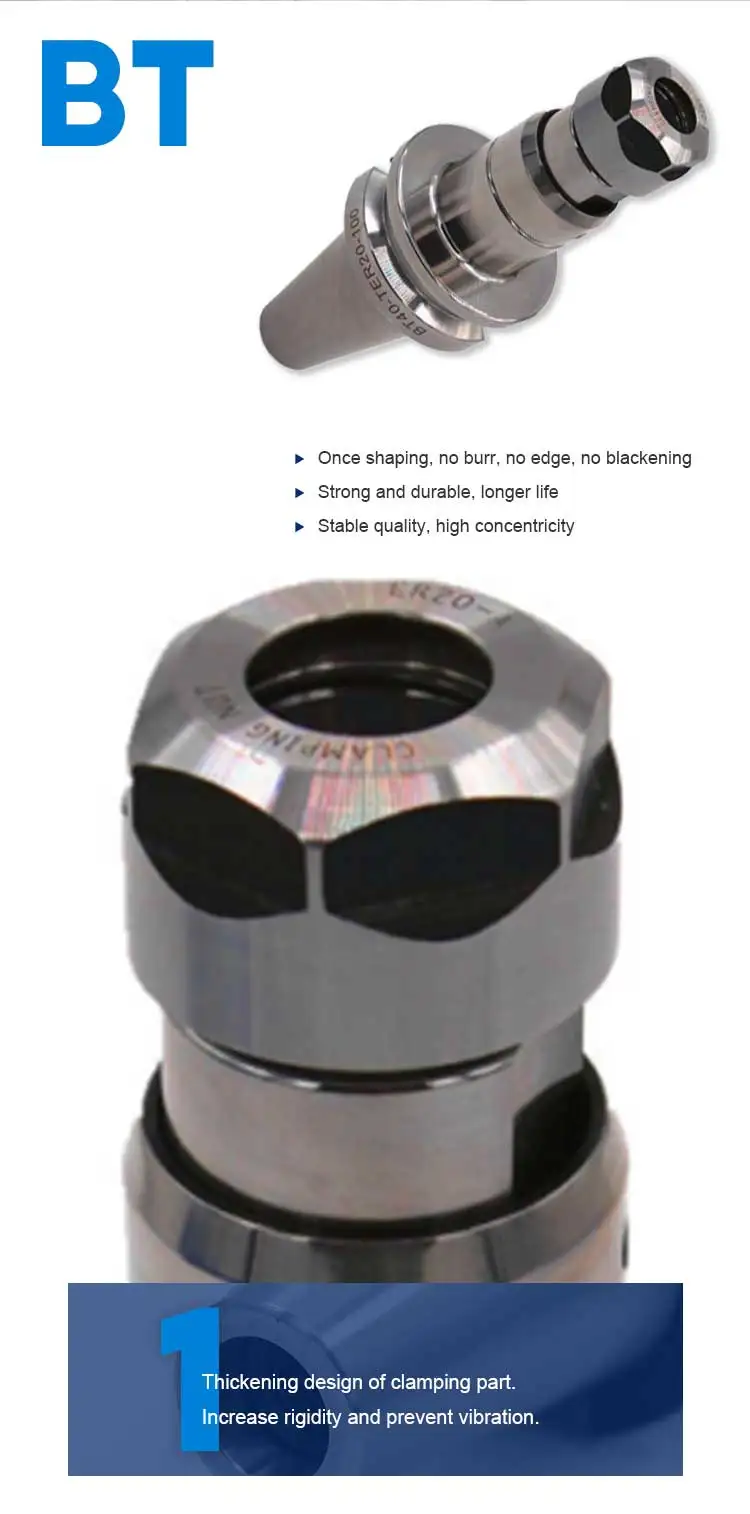 BT-TER_02.jpg