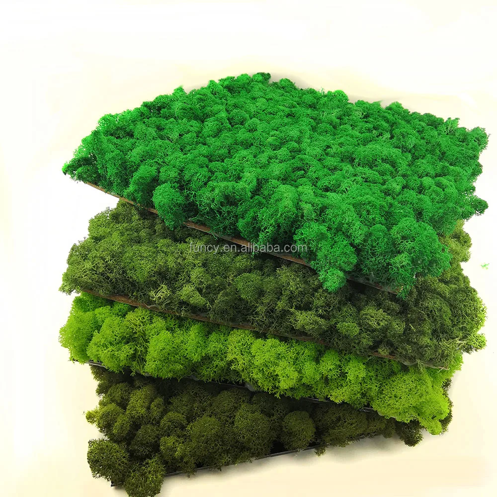 Wholesale Preserved Moss Wall Decoration Modern Green Moss Wall