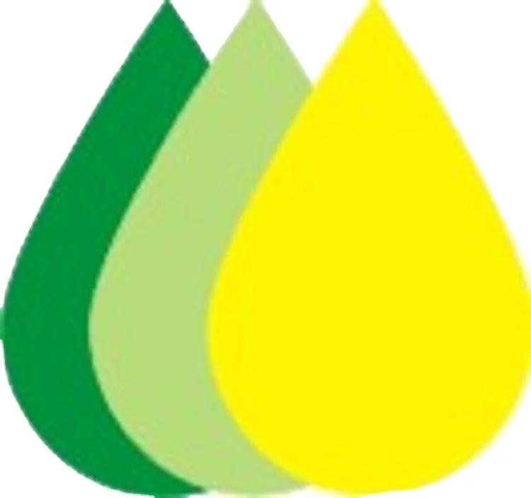 Normal Or High Oleic Spanish Original Sunflower Oil For Wholwsales In