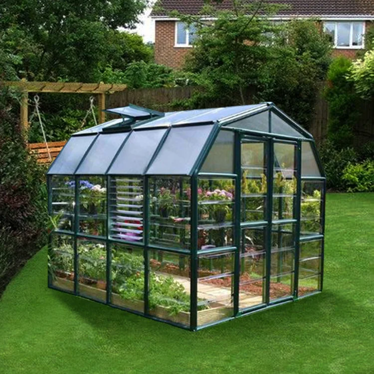 家庭花园用8x12隧道番茄温室薄膜温室