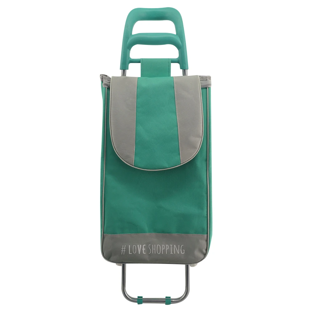 sale new style 2 wheels vegetable shopping luggage trolley bag