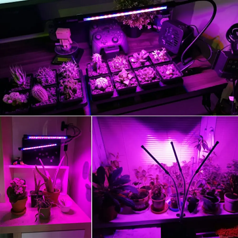 Amazon Grow Light 40w Tri Head Timing 80 Led 4 Arms Plant Grow Lights For Indoor Plants With Red Blue Spectrum - Buy Grow Light,Led Grow Light,Plant Grow Lights Product on Alibaba.com Amazon Grow Light 40w Tri Head Timing 80 Led 4 Arms Plant Grow Lights For Indoor Plants With Red Blue Spectrum - Buy Grow Light,Led Grow Light,Plant Grow Lights Product on Alibaba.com