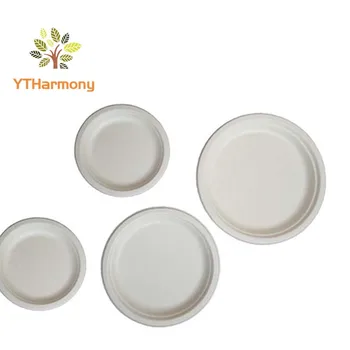 10 inch disposable plates