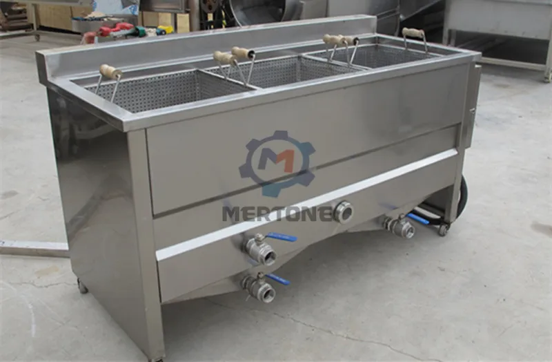 batch fryer (3)