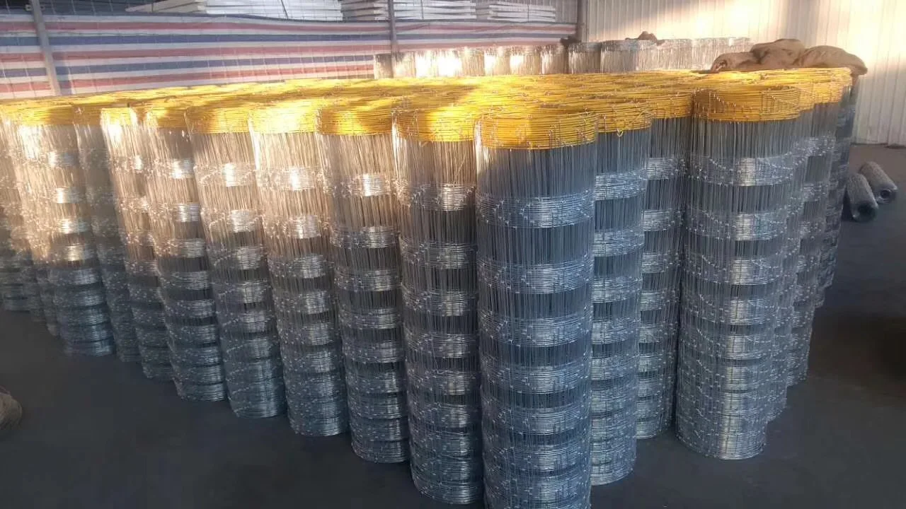 berita perusahaan terbaru tentang Pagar wire mesh tahan korosi yang kuat untuk pertanian  0