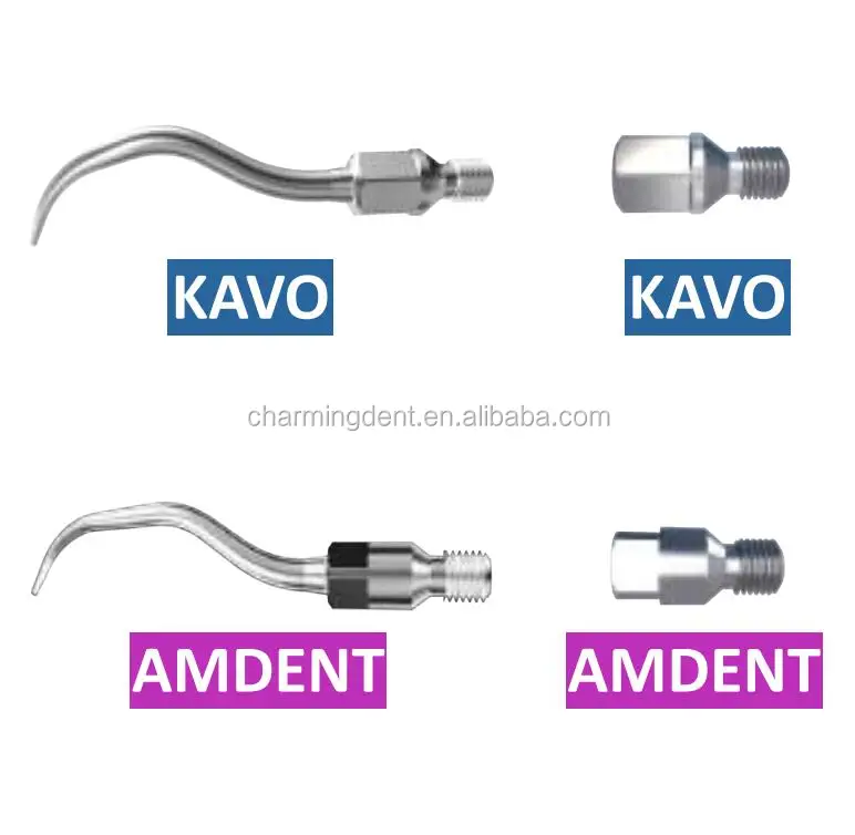 Dental Piezo Ultrasonic Scaler Tips P1 / Ems Woodpecker Ultrasonic Scaler Insert For