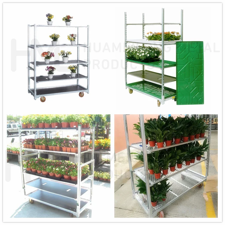 display cart (2).jpg