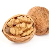 2019 new crop Big size paper skin classified and washed walnut and kernel