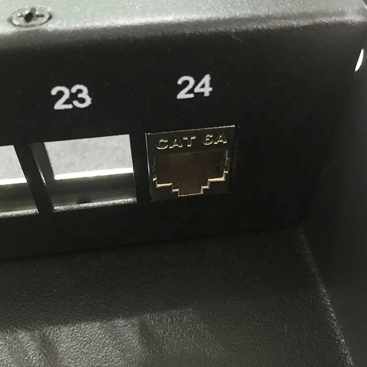 Front and Rear Cover Fixed 1U 24 Ports Cat6a UTP Patch Panel