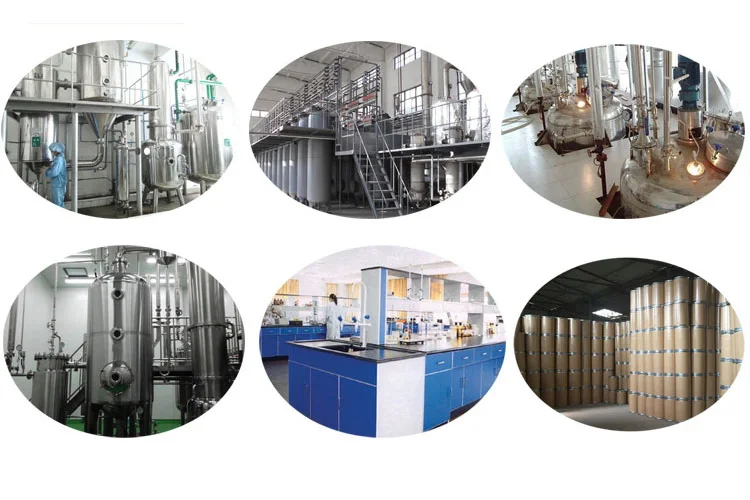 Factory Supply Astragalus polysaccharide 10%40%70% root extract/ Astragalus Extract