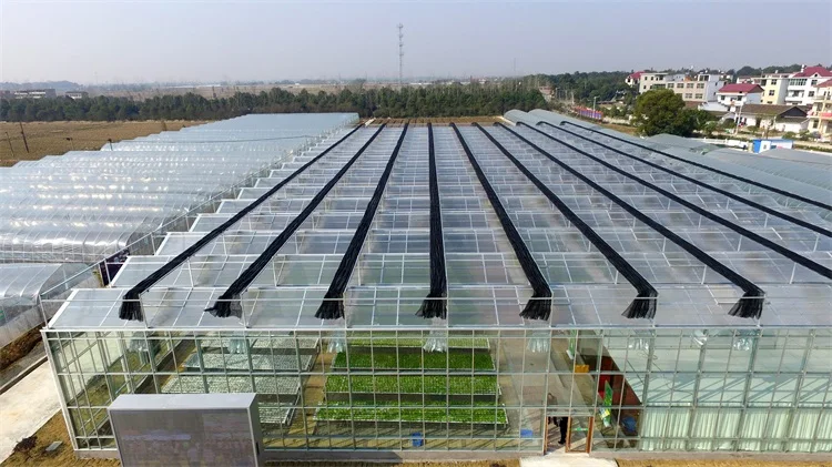 greenhouses polycarbonate professional