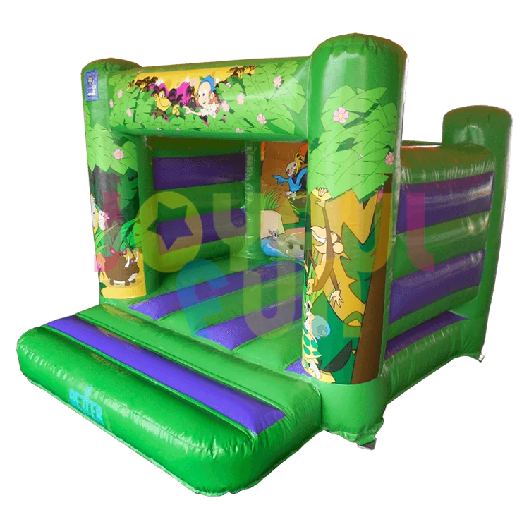 Inflatable Bouncy House